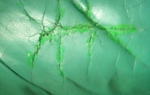 green-diy-dye-from-the-internet